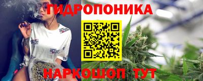 скорость Кингисепп